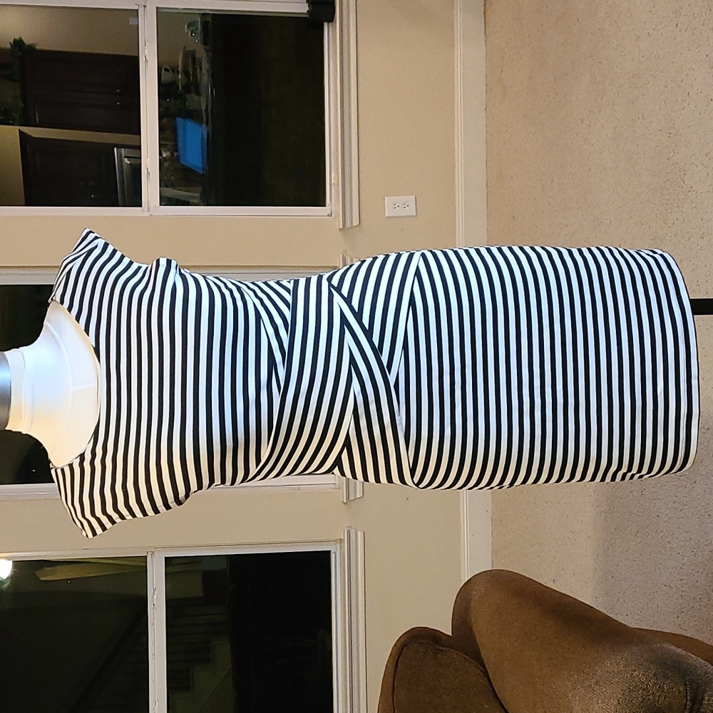 Sleeveless, Fitted Dress, Medium